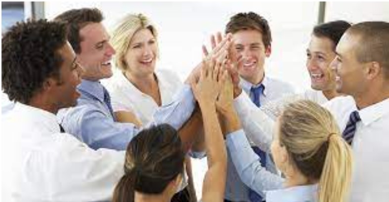 What Is the HR Role In Team Building?